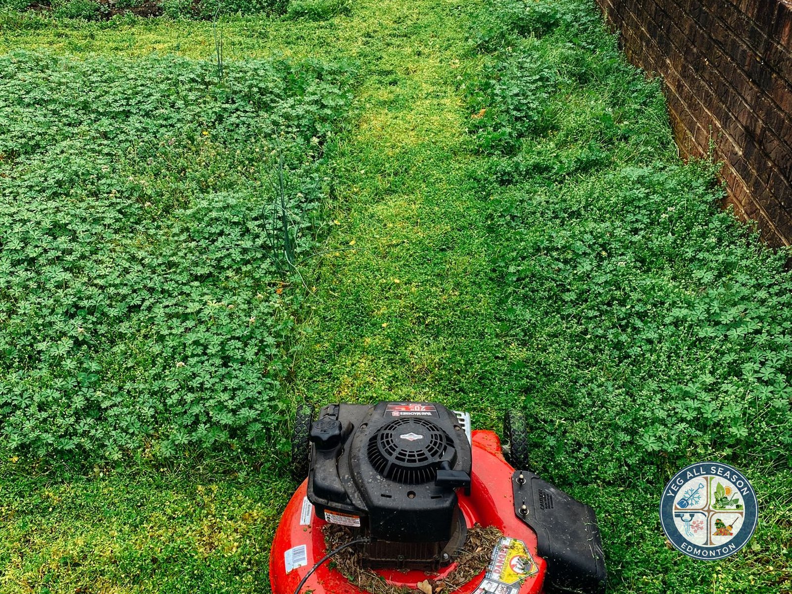 Freshly mowed lawn with clean edges